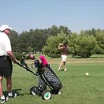 Gabbiano Ii Duna Verde